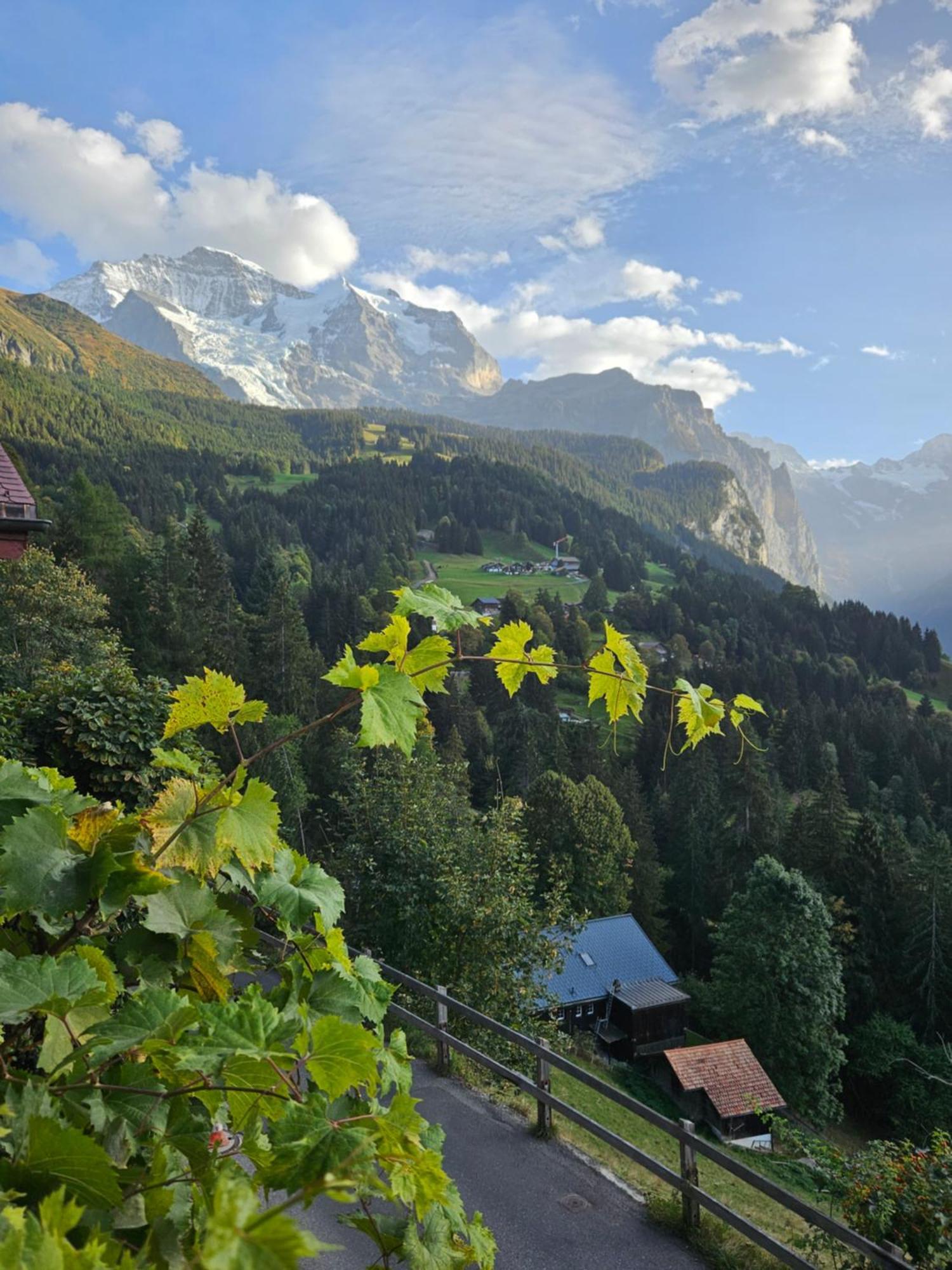 Chalet Aargovia South Венген Экстерьер фото